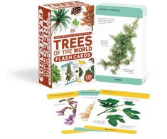 KNYGA Bookshop Our World in Pictures Trees of the World Flash Cards