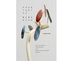 KNYGA Hyaesin Yoon Prosthetic Memories
