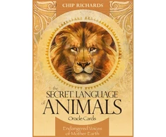 KNYGA Bookshop Secret Language of Animals