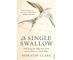 KNYGA Bookshop Single Swallow