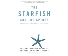KNYGA Bookshop Starfish and the Spider