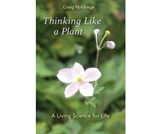 KNYGA Bookshop Thinking Like a Plant