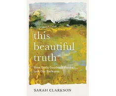 KNYGA Bookshop This Beautiful Truth – How God`s Goodness Breaks into Our Darkness