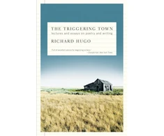 KNYGA Bookshop Triggering Town