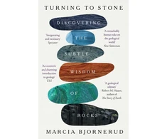 KNYGA Bookshop Turning to Stone