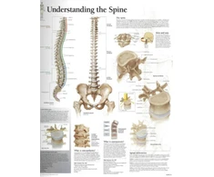 KNYGA Scientific Publishing Understanding the Spine Paper Poster