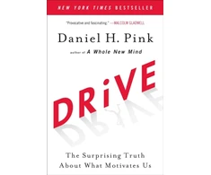 KNYGA Daniel H Pink Vairuoti