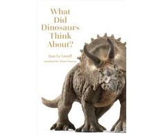 KNYGA Bookshop What Did Dinosaurs Think About?