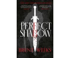 KNYGA Brent Weeks Perfect Shadow
