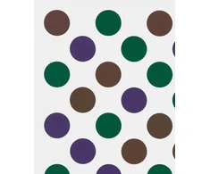 KNYGA Bridget Riley: Past into Present