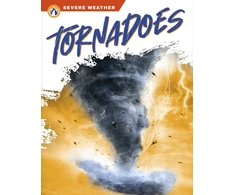 KNYGA Brienna Rossiter Tornadoes