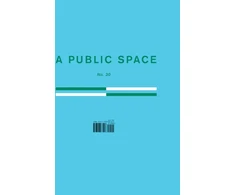 KNYGA Brigid Hughes A Public Space No. 30