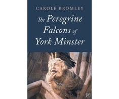 KNYGA Carole Bromley Peregrine Falcons of York Minster