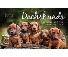 KNYGA C Donald Dachshunds