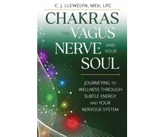 KNYGA C J Llewelyn Chakras, the Vagus Nerve, and Your Soul