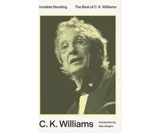 KNYGA C K Williams Invisible Mending