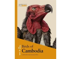 KNYGA Cambodia Bird Guide Association (CBGA) Birds of Cambodia