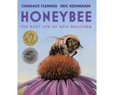 KNYGA Candace Fleming Honeybee