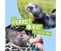 KNYGA Cara Krenn Is a Ferret or a Rat the Pet for Me?