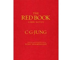 KNYGA Carl Gustav Jung Raudona Book