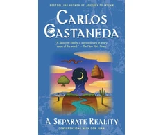 KNYGA Carlos Castaneda Separate Reality