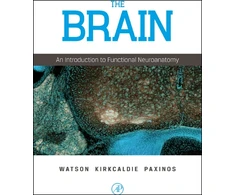 KNYGA Charles Watson Brain