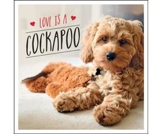 KNYGA Charlie Ellis Love is a Cockapoo
