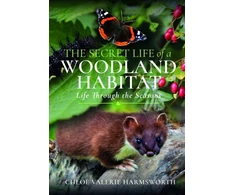 KNYGA Chloe Valerie Harmsworth Secret Life of a Woodland Habitat
