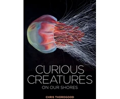 KNYGA Chris Thorogood Curious Creatures on our Shores
