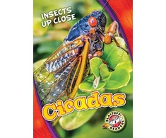 KNYGA Christina Leaf Cicadas