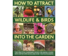 KNYGA Christine Lavelle How to Attract Wildlife &amp; Birds into the Garden