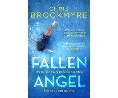 KNYGA Christopher Brookmyre Fallen Angel