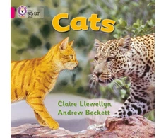 KNYGA Claire Llewellyn Katės