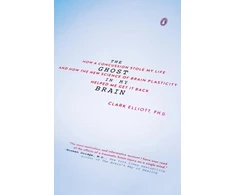 KNYGA Clark Elliott Ghost in My Brain