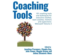 KNYGA D. A. Y. PASSMORE Coaching Tools: 101 coaching tools and techniques for executive coaches, team coaches, mentors and supervisors: WeCoach! Volume 2