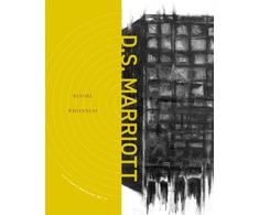 KNYGA D S Marriott Before Whiteness
