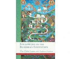 KNYGA Dalai Dalai Lama Following in the Buddha's Footsteps