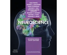 KNYGA Dale Purves Neuroscience