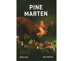 KNYGA Dan Bagur Pine Marten