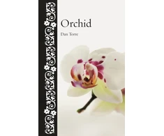 KNYGA Dan Torre Orchidėja