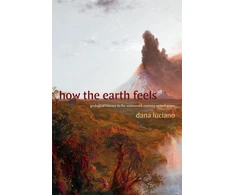 KNYGA Dana Luciano How the Earth Feels