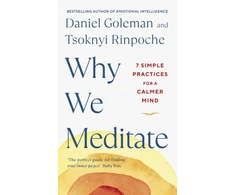 KNYGA Daniel Goleman Why We Meditate, 7 Simple Practices for a Calmer Mind