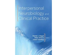 KNYGA Daniel J Siegel Interpersonal Neurobiology and Clinical Practice