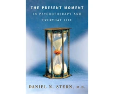 KNYGA Daniel N Stern Present Moment in Psychotherapy and Everyday Life