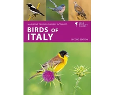 KNYGA Daniele Occhiato Birds of Italy