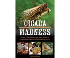KNYGA Dave Zielinski Cicada Madness