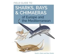 KNYGA David A Ebert Field Guide to Sharks, Rays &amp; Chimaeras of Europe and the Mediterranean