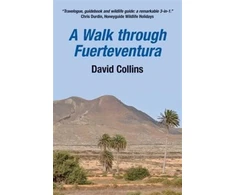 KNYGA David Collins Walk Through Fuerteventura