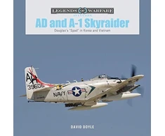 KNYGA David Doyle AD and A-1 Skyraider