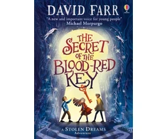 KNYGA David Farr Secret of the Blood-Raudona Key
